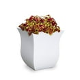 thumbnail image 3 of Mayne Valencia 16" Square Planter, 3 of 7