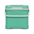 thumbnail image 9 of Igloo 30-Quart Cooler, 9 of 13