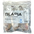 thumbnail image 1 of Whole Gutted and Scaled Tilapia, Frozen, 4 lbs., 1 of 6