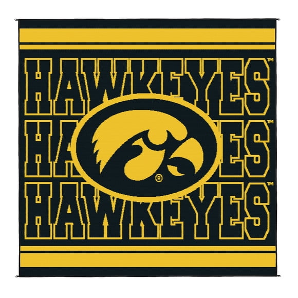 Logo Brands Iowa Hawkeyes 106"x106" Rally Mat