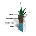 thumbnail image 4 of Mayne Cranbrook 32" Tall Planter, 4 of 7