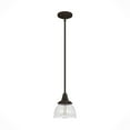 thumbnail image 2 of Hunter Cypress Grove with Clear Holophane Glass 1 Light Pendant Ceiling Light Fixture, 2 of 8