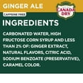 thumbnail image 5 of Canada Dry Ginger Ale Soda 12 fl. oz., 36 pk., 5 of 11