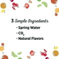 thumbnail image 3 of Poland Spring Sparkling Water Flavor Variety Pack 16.9 fl. oz., 24 pk., 3 of 7