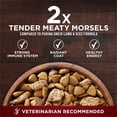 thumbnail image 6 of Purina ONE SmartBlend True Instinct Real Turkey & Venison, Adult Dry Dog Food, 40 lbs., 6 of 11