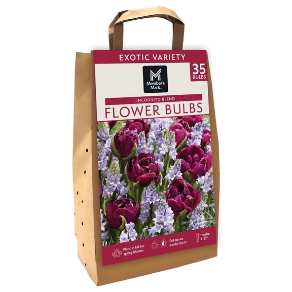 Member's Mark Incognito Blend Tulip and Scilla Dormant Bulbs, 35pk