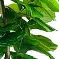 thumbnail image 3 of Faux 8' Fig Tree in Oversized Ceramic Pot, 3 of 6