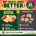 thumbnail image 3 of BranchOut Crunchy Fruit Chips with Strawberry, Apple, Banana & Pineapple, No Added Sugar, 7 oz., 3 of 5