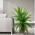 thumbnail image 3 of Faux 5' Deluxe Dracaena Floor Plant in Brown Tuscany Pottery Pot, 3 of 5