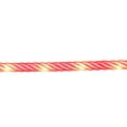 thumbnail image 4 of Member's Mark 18' Candy Cane LED Rope Light, 4 of 5