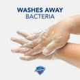 thumbnail image 2 of Safeguard Liquid Hand Soap, Micellar Deep Cleansing, Fresh Clean Scent (40 oz.), 2 of 6