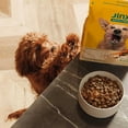 thumbnail image 4 of Jinx Grain Free Dry Dog Food Chicken, Sweet Potato & Carrot Recipe, 23.5 lbs., 4 of 7