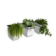 thumbnail image 2 of Mayne Valencia 8" Wall Mount Planter, Set of 3, 2 of 10