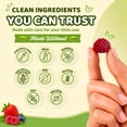 thumbnail image 5 of Members Mark Children's Fiber Gummies, 100 Ct., 5 of 7