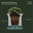 thumbnail image 10 of Mayne Cape Cod Window Box, Choose Size, 10 of 10