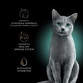 thumbnail image 5 of Sheba Perfect Portions Cuts in Gravy Adult Variety Wet Cat Food, Twin-Pack Tray, 2.6 oz., 48 ct., 120 servings, 5 of 12