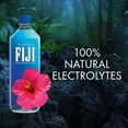 thumbnail image 5 of FIJI Natural Artesian Water 1 Liter, 12 pk., 5 of 8