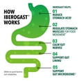thumbnail image 5 of Iberogast Daily Multisymptom Digestive Support Softgels, 60 ct., 5 of 8