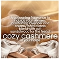 thumbnail image 2 of Air Wick Scented Oil, Warm Cashmere & Sandalwood, 1 Warmer + 6 Refills, 2 of 7