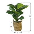 thumbnail image 3 of Faux 36" Fig in Handwoven Boho Basket, 3 of 4