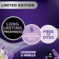 thumbnail image 4 of Member's Mark Liquid Fabric Softener, Lavender and Vanilla (170 fl. oz., 251 loads), 4 of 9