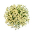 thumbnail image 1 of Member's Mark Chamomile Matricaria, choose stem count, 1 of 6