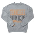 thumbnail image 5 of Champion NCAA Grey Crewneck Sweatshirt, 5 of 6