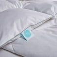 thumbnail image 4 of Martha Stewart 100% Cotton White Feather and Down Comforter, Assorted Sizes, 4 of 8