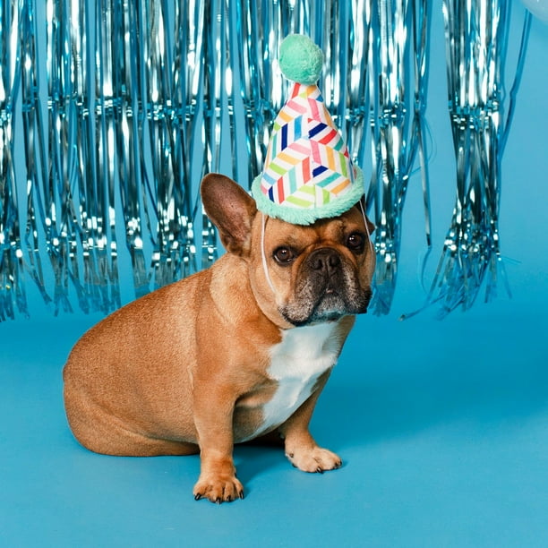 Party Animal Birthday Box Dog Toy Bundle, 5-Piece Set Blue