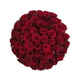 thumbnail image 1 of Member's Mark Ecuadorian Premium Roses, choose color variety and stem count, 1 of 8