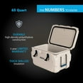 thumbnail image 3 of Lifetime 65-Quart High Performance Cooler, Choose Color, 3 of 16