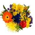 thumbnail image 1 of Mixed Farm Bunch, Fall Harvest (10 bunches), 1 of 3