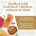 thumbnail image 3 of Purina Fancy Feast Gems Pate Mousse Cat Food, Variety Pack, 40 ct., 3 of 9
