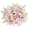thumbnail image 1 of Member's Mark LA Hybrid Lilies, choose color and stem count, 1 of 8