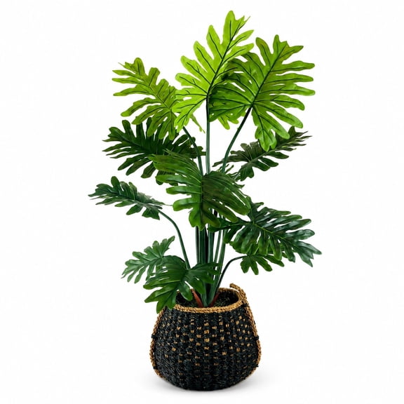 Artificial 54" Philo in Handwoven Basket - Natural or Bi-Color Baskets