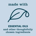 thumbnail image 13 of Mrs. Meyer's Limited Edition Holiday Hand Soap, 3 pk., 13 of 14