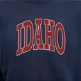 thumbnail image 6 of State of Mine Varsity Arch State Fleece Sweatshirt, 6 of 7