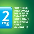 thumbnail image 6 of Member's Mark Nicotine Uncoated Gum, Original Flavor, 190 ct., 2 pk., 6 of 10