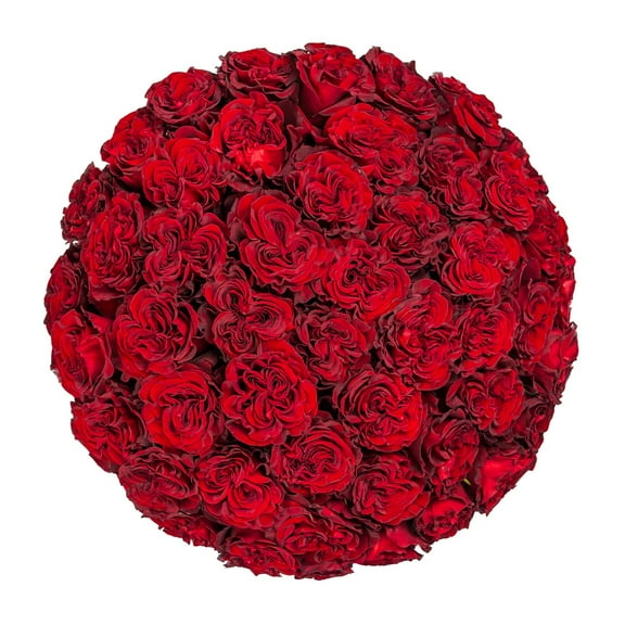 Member's Mark Ecuadorian Premium Roses, choose color variety and stem count