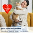 thumbnail image 6 of Bissell Little Green ProHeat Pet Portable Deep Cleaner, 6 of 6