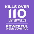 thumbnail image 3 of Member's Mark Southern Weed & Feed 12M, 3 of 5