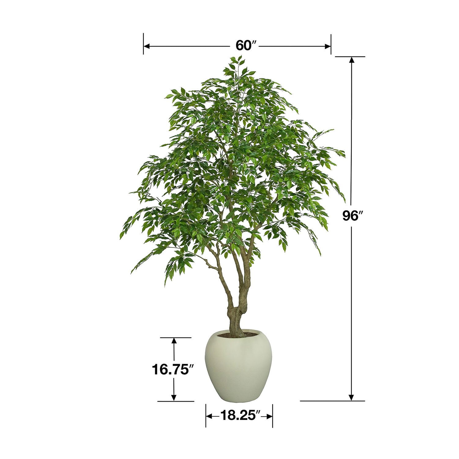 Faux 8' Deluxe Ficus Tree in Oversized Cream Pot - Samsclub.com