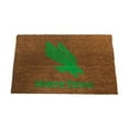 thumbnail image 1 of Logo Brands North Texas Mean Green Doormat, 1 of 5