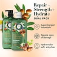 thumbnail image 2 of Herbal Essences Pure Plants Argan Oil & Green Tea Shampoo + Conditioner, 33.8 fl. Oz., 2 pk., 2 of 9