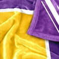 thumbnail image 6 of Logo Brands East Carolina Pirates 60"x70" Super Plush Blanket, 6 of 6