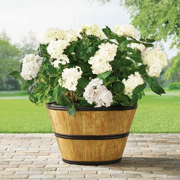 Member's Mark 22" Wine Barrel Planter