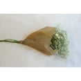 thumbnail image 3 of Member's Mark, Million Star Half Bunch, 3 of 4