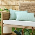 thumbnail image 1 of Martha Stewart Vineyard Vines Indoor/Outdoor Decorative Pillow, Set of 2, Choose Size, 1 of 10