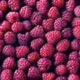 thumbnail image 3 of Member's Mark Raspberry Fall Gold & Purple Royalty, 2pk, 3 of 10