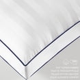 thumbnail image 3 of Thomasville 2-Pack Premium Hotel Pillows, 3 of 7